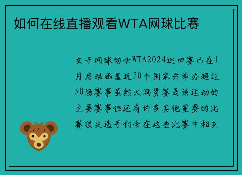 如何在线直播观看WTA网球比赛